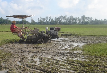 Bình Sơn cấp 600 triệu đồng hỗ trợ lúa giống và khắc phục kênh mương nội đồng cho các xã, thị trấn