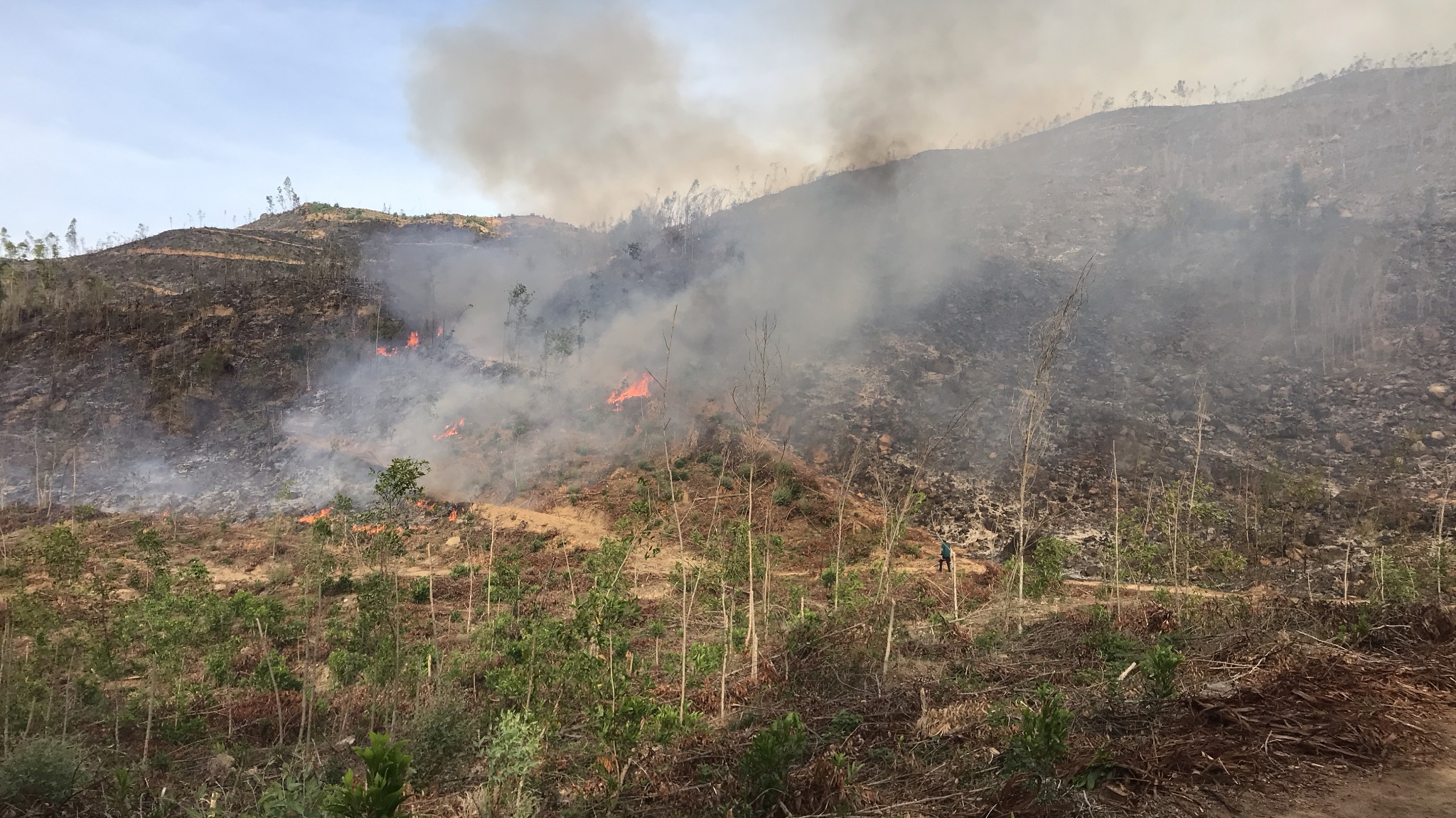 Liên tiếp xảy ra các vụ cháy rừng ở các địa phương