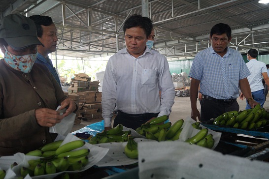 Sở Nông nghiệp và PTNT làm việc, góp ý phương án sản xuất của Công ty cổ phần Nông lâm nghiệp 24/3 Quảng Ngãi