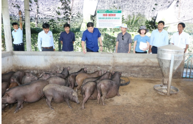 Kiểm tra dự án Khuyến nông Trung ương năm 2022 tại tỉnh Quảng Ngãi