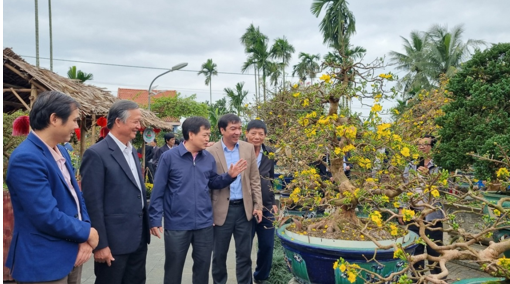 Hội Sinh vật cảnh huyện Nghĩa Hành tổ chức ngày bonsai mai vàng, lần thứ I