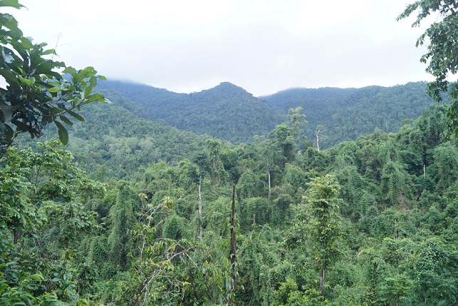 Tiếp nhận Dự án Bảo tồn đa dạng sinh học tỉnh Quảng Ngãi
