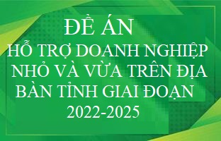 Công khai Kế hoạch thực hiện Đề án “Hỗ trợ doanh nghiệp nhỏ và vừa trên địa bàn tỉnh Quảng Ngãi giai đoạn 2022 - 2025”.