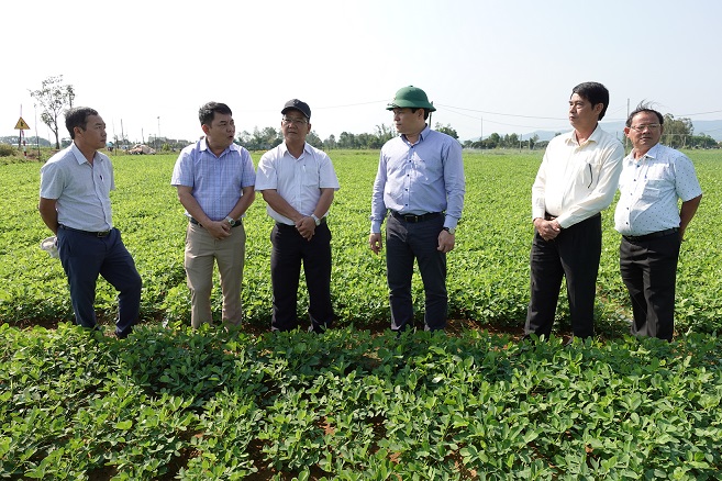 Phó Chủ tịch UBND tỉnh Trần Phước Hiền kiểm tra tình hình sản xuất nông nghiệp tại huyện Mộ Đức