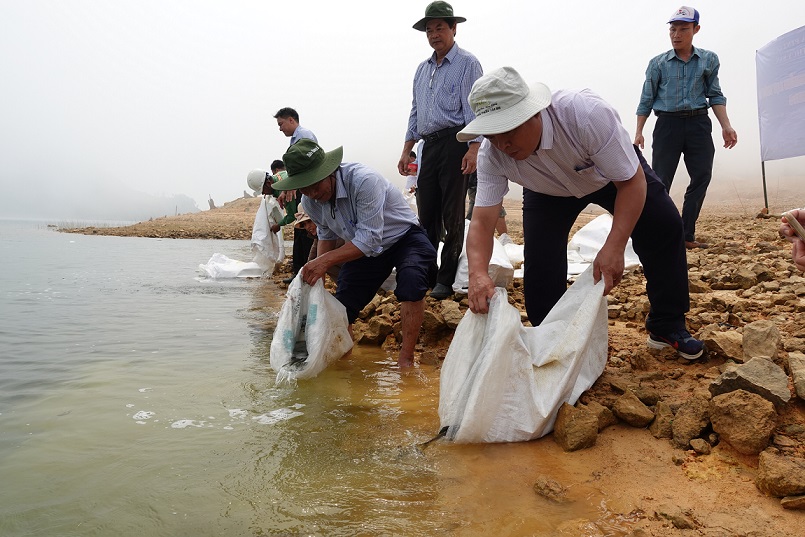 Thả giống tái tạo nguồn lợi thủy sản trên hồ chứa nước thủy điện Hà Nang