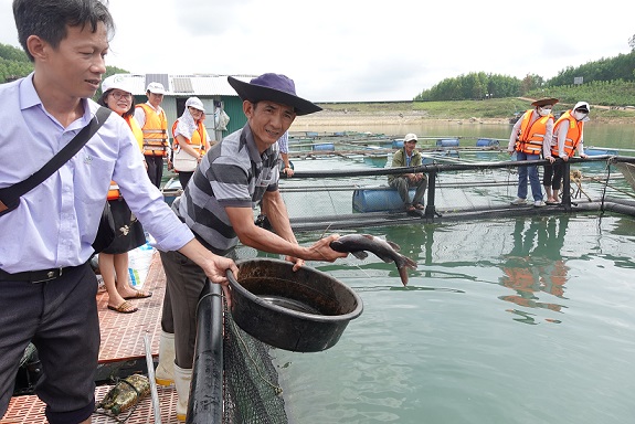 Nghiệm thu mô hình nuôi cá lồng bè bằng vật liệu HPDE trên hồ Liệt Sơn
