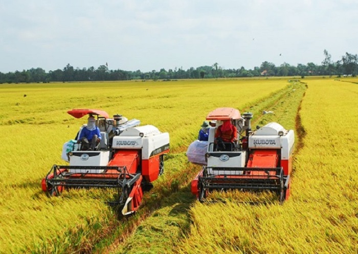 Ngành Nông nghiệp Quảng Ngãi đạt tốc độ tăng trưởng toàn ngành khoảng 5,3%/năm giai đoạn 1989-2024