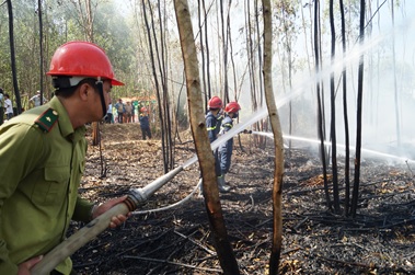 Diễn tập chữa cháy rừng xã Tịnh Phong năm 2020