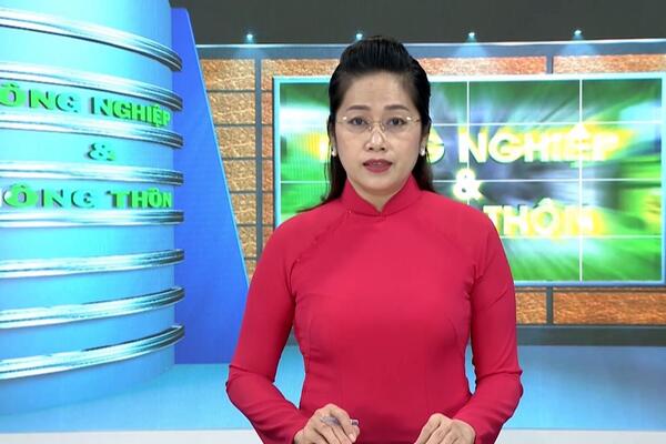 Du lịch nông thôn