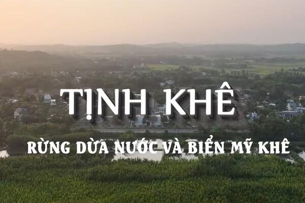 Tịnh Khê – rừng dừa nước và biển Mỹ Khê, một bức tranh quyến rũ, thanh bình.