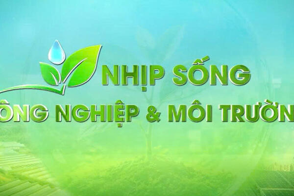 Nhịp sống nông nghiệp và môi trường phát sóng 24/7