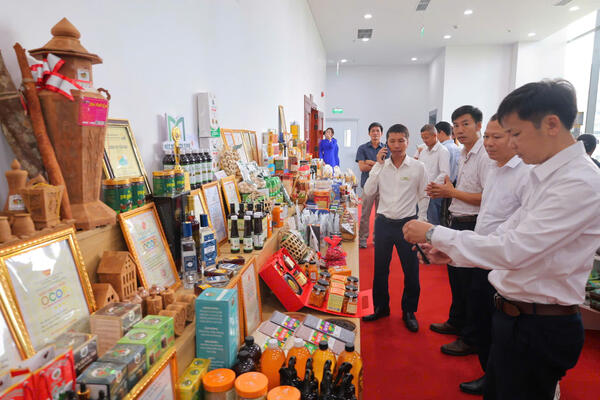 Quy chế hoạt động của Hội đồng, Tổ tư vấn Hội đồng đánh giá, phân hạng sản phẩm OCOP tỉnh Quảng Ngãi
