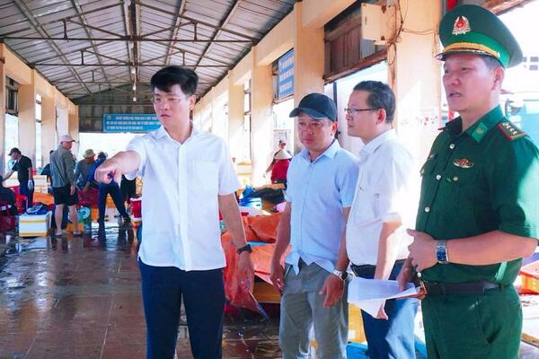 Sở Nông nghiệp và Môi trường triển khai Kế hoạch hành động khắc phục khuyến nghị của EC về chống khai thác IUU
