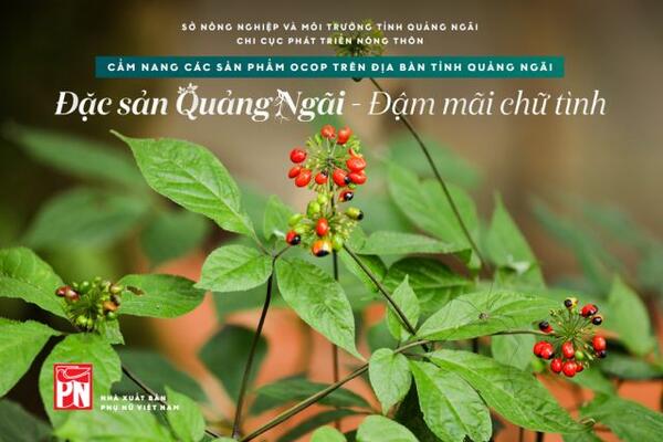 Cẩm Nang Sản Phẩm OCOP Quảng Ngãi: Tái Hiện Câu Chuyện Đặc Sản Và Văn Hóa Vùng Đất "Chữ Tình"
